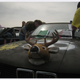 Illustration for article titled BS Inspections at 24 Hours of LeMons Detroit